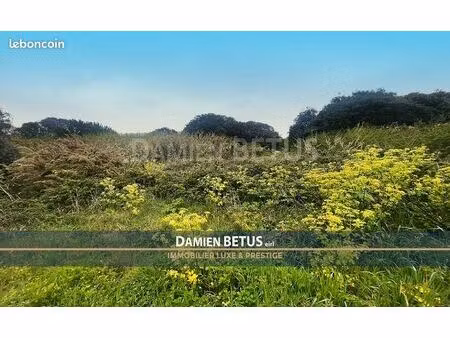 terrain 2 931 m² l ile d yeu