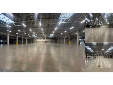 surface industrielle à louer à sint-pieters-leeuw (rbv67058)