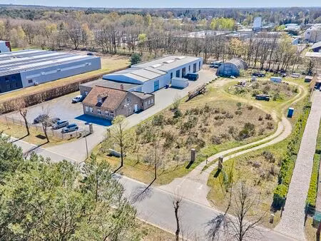 bien professionnel à vendre à zonhoven € 2.200.000 (ln3qd) - jansen real estate | zimmo