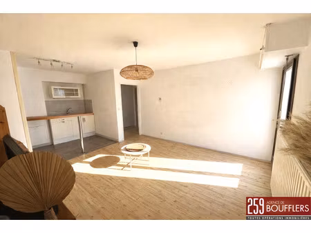 appartement 2 pieces avec balcon  cave  parking / nancy bouf