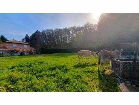 terrain constructible