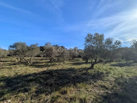 superbe terrain constructible à sauve