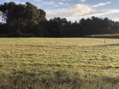 vente maison à construire 100 m² le teich (33470)