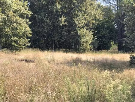 vente maison à construire 90 m² le teich (33470)