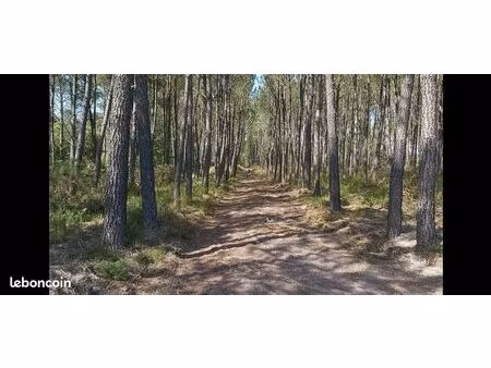 terrain boisé 16000 m² idéal détente ou loisirs