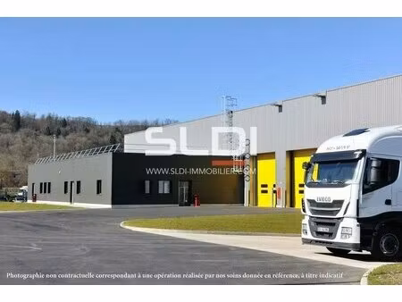 vente local d’activités anse 69480 6000m²