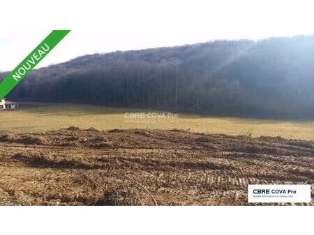 vente terrain châtillon-le-duc 25870 9477m²