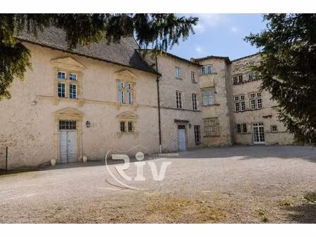 baisse de prix - appartement chateau de chonas l'amballan