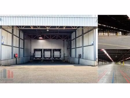 surface industrielle à louer à groenedreef 9 kruisem (rbv67155)