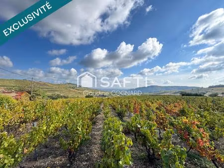 maison à fort potentiel dans un environnement privilégié