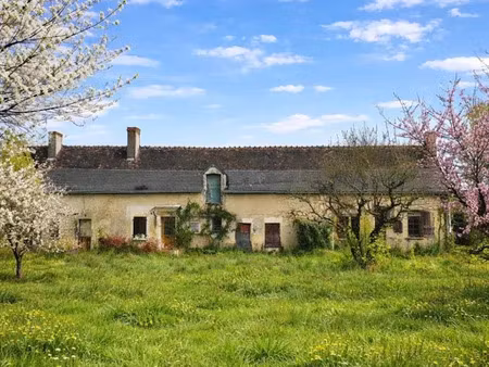 vente maison 3 pièces 89 m² à neuillé-pont-pierre (37360)  76 000 €