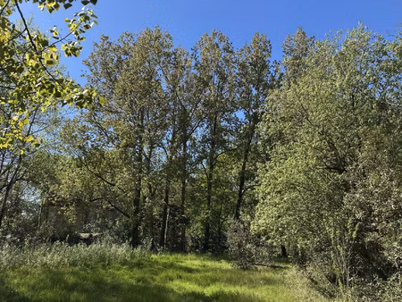 au coeur d'une nature préservée