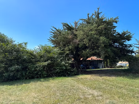 terrain constructible de 1017 m2