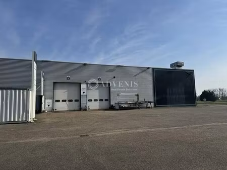 location entrepôt 3 939 m²