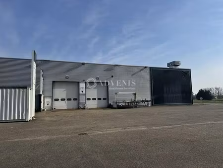 location entrepôt la wantzenau 67610 3939m²
