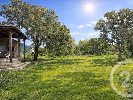 villa de qualité à zonza