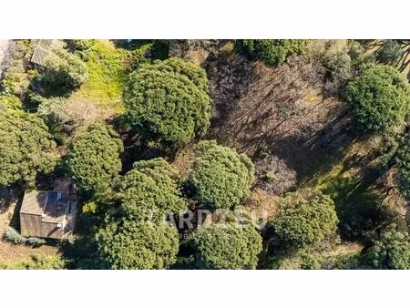 terrain projet villa neuve - ramatuelle