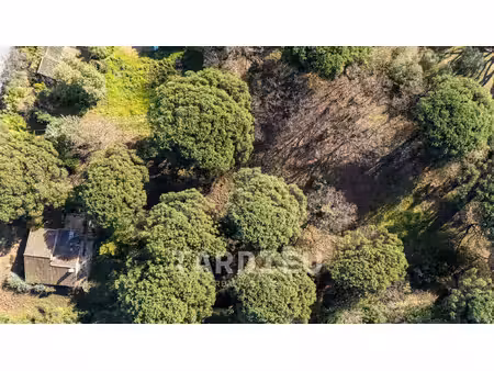 terrain projet villa neuve - ramatuelle