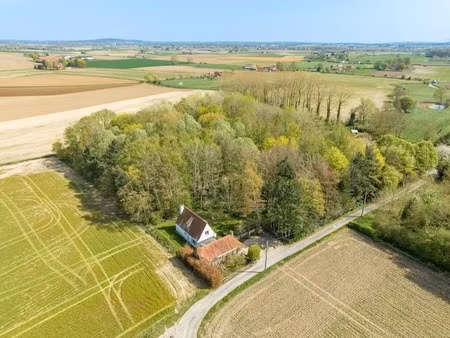 exclusieve alleenstaande woning te koop in het idyllische en landelijke kooigem