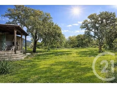 maison de luxe à vendre à zonza : 540 000 € | 228m²