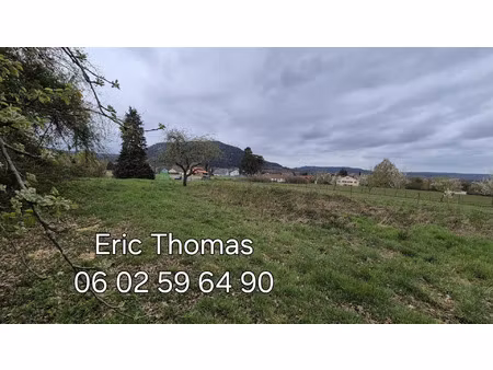vente terrain 4109 m² raon-l’étape (88110)