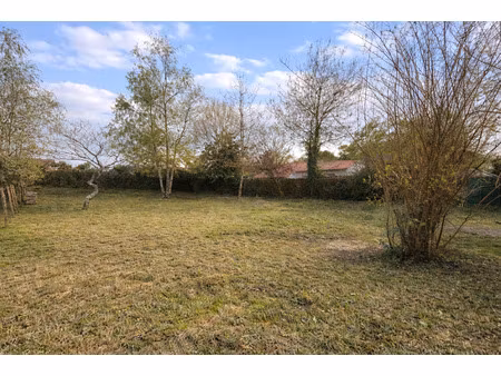 vente terrain constructible 44330 vallet
