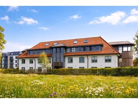 ruime vakantiewoning op topligging