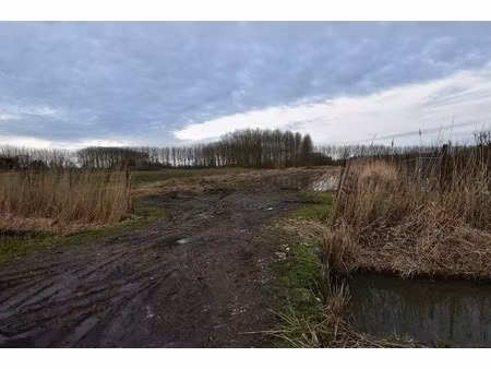 grond te koop in moerzeke