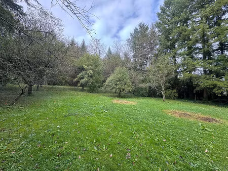 achat terrain 1 561m²