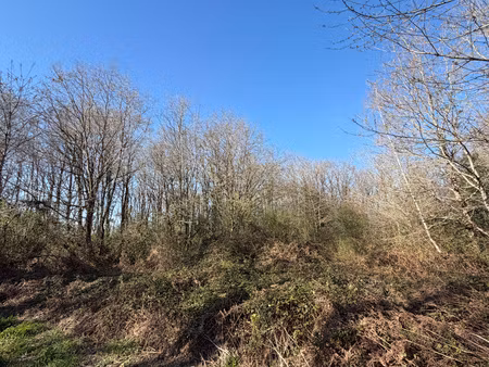 bois-de-cene - terrain boise de plus de 1 600 m2