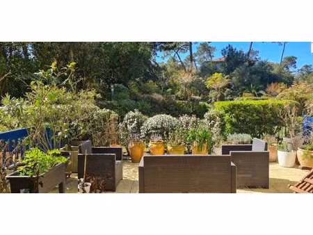 appartement avec terrasse soorts-hossegor (40)