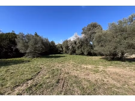annonce terrain à vendre