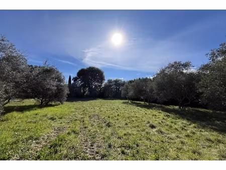 annonce terrain à vendre