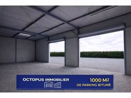 vente local d’activités toulouse 31200 526m²