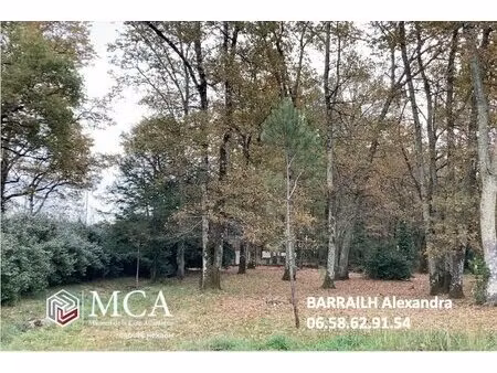 terrain à bâtir à le taillan-médoc (33320)