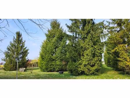 espace et tranquillité  multi projets ! terrain de 5824 m2 clos et arboré. constructible.