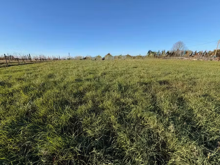 vente terrain 561 m² capian (33550)