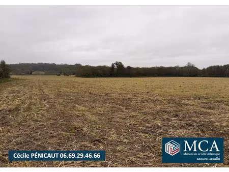 vente terrain 449 m² mimbaste (40350)