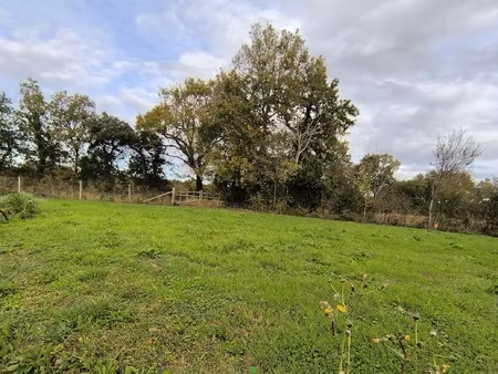 terrain - 443 m²