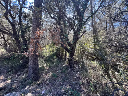 achat terrain 3 680m² la liviniere 34210