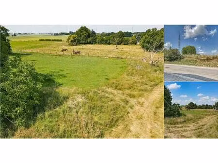 terrain à vendre à rue de roloux fexhe-le-haut-clocher (vbe08792)