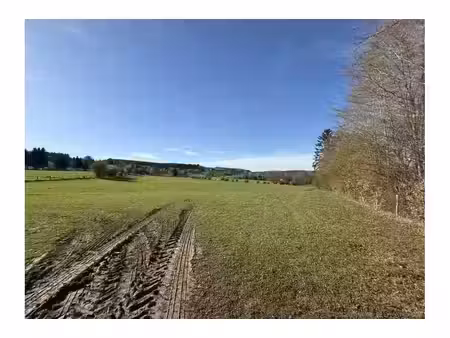 terrain à vendre à chemin de béteaumont manhay (vbe09060)