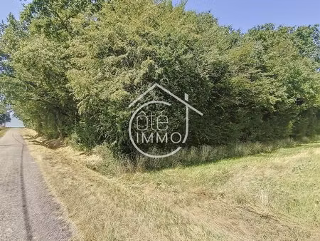 savignac de duras : parcelles boisées : non constructible 1 ha 98