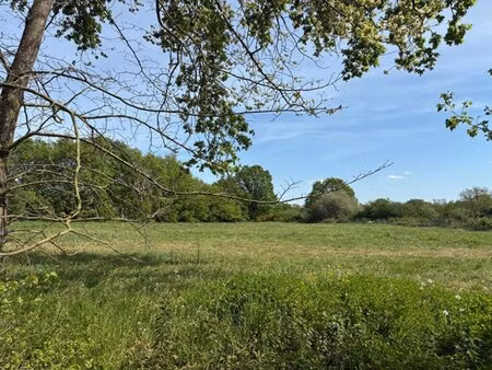 en vente terrain constructible 6 6 ares – 77 000 € |écuillé