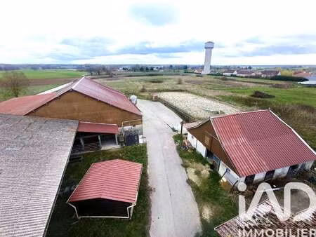 vente immeuble aux bordes-aumont (10800) : à vendre / 28976m² les bordes-aumont