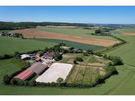 très belle ecurie de commerce à 10 kms de sens