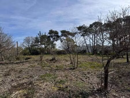 vente terrain à guémené-penfao (44290) : à vendre / 2672m² guémené-penfao