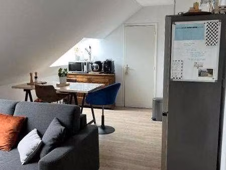 location appartement t1 à sainte-gemmes-sur-loire (49130) : à louer t1 / 19m² sainte-gemme