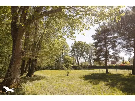 vente maison 7 pièces 227 m² à saint-avertin (37550)  460 000 €