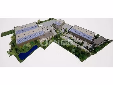 location local d'activités 1 125 m² à 9 825 m²